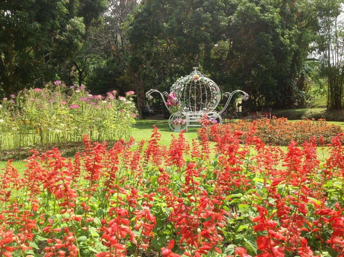 Mae Sa Valley Garden Resort Чиангмай Экстерьер фото